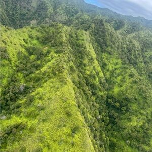 Box - Extra Shipping